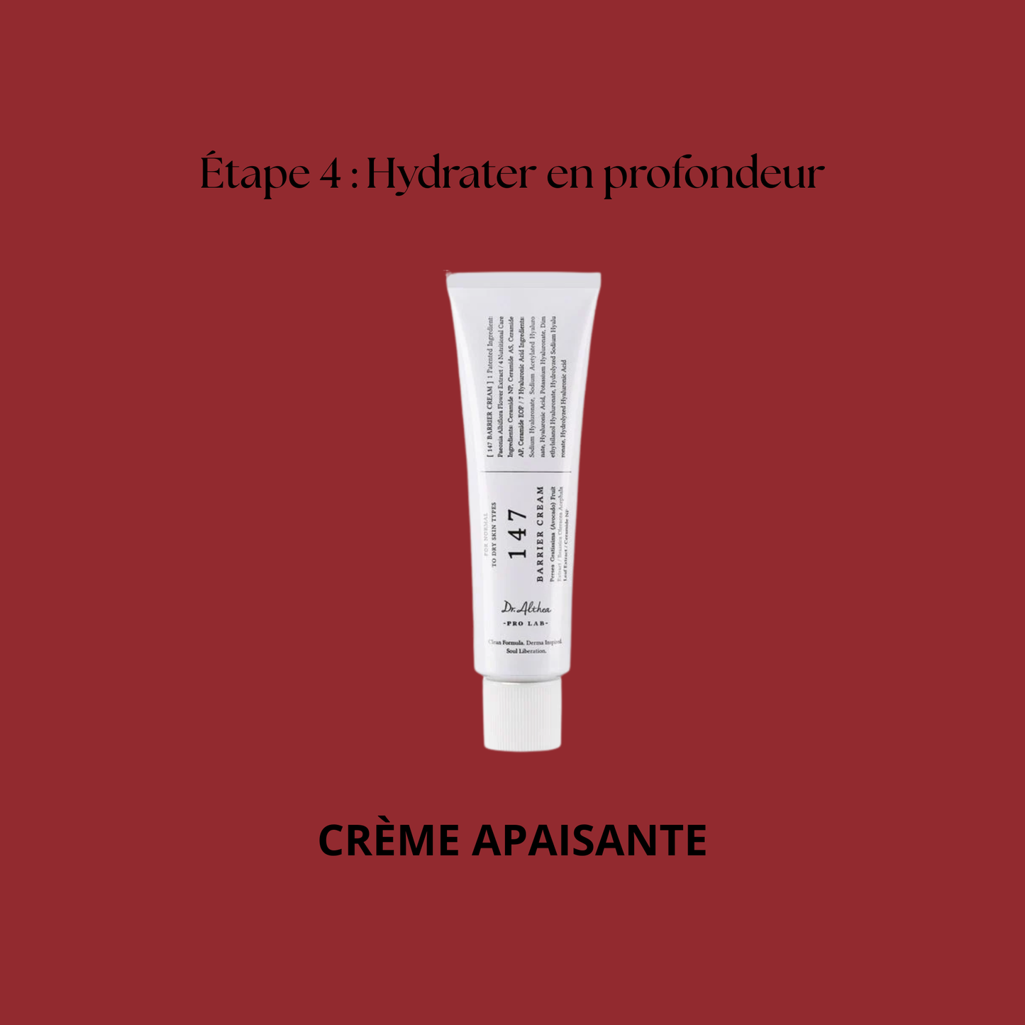 Coffret de Noël - Routine Éclat ⭐️