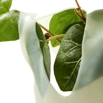Heartleaf 70 Soothing Collagen Mask