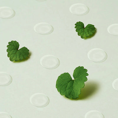 PURITO SEOUL Wonder Releaf Centella Spot Patch