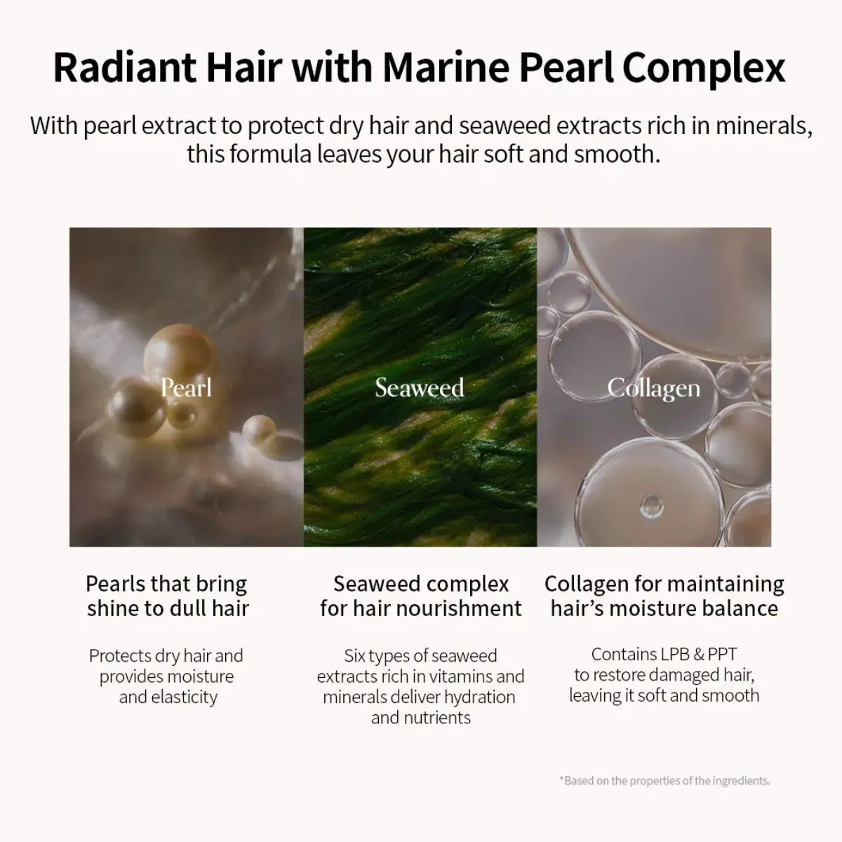 GROWUS Damage Therapy No-wash Treatment EX